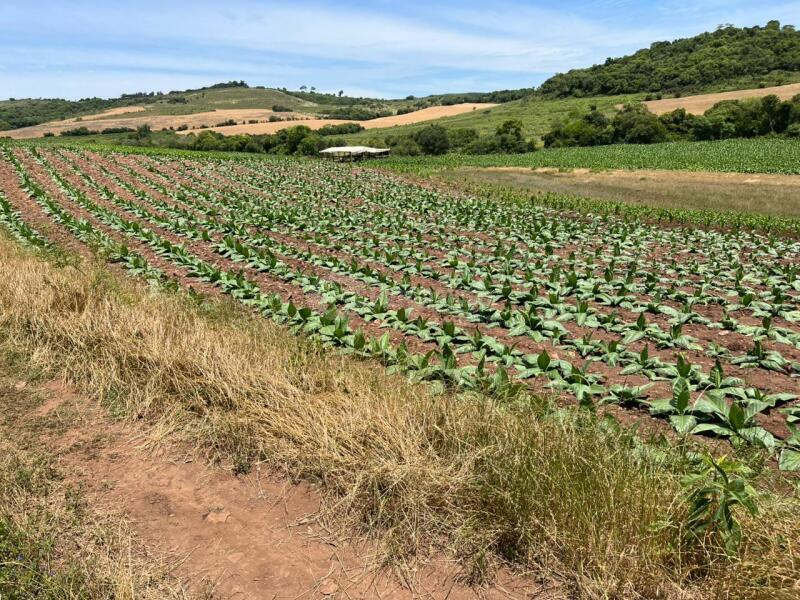 Foto de Terreno em leilão em Tupanciretã - RS