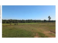 Foto de Fazenda c/ 304 ha. e 290ms2 - Caracol/MS