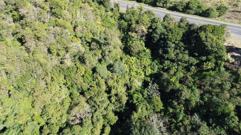 Foto de Terreno em leilão em São José Do Herval - RS
