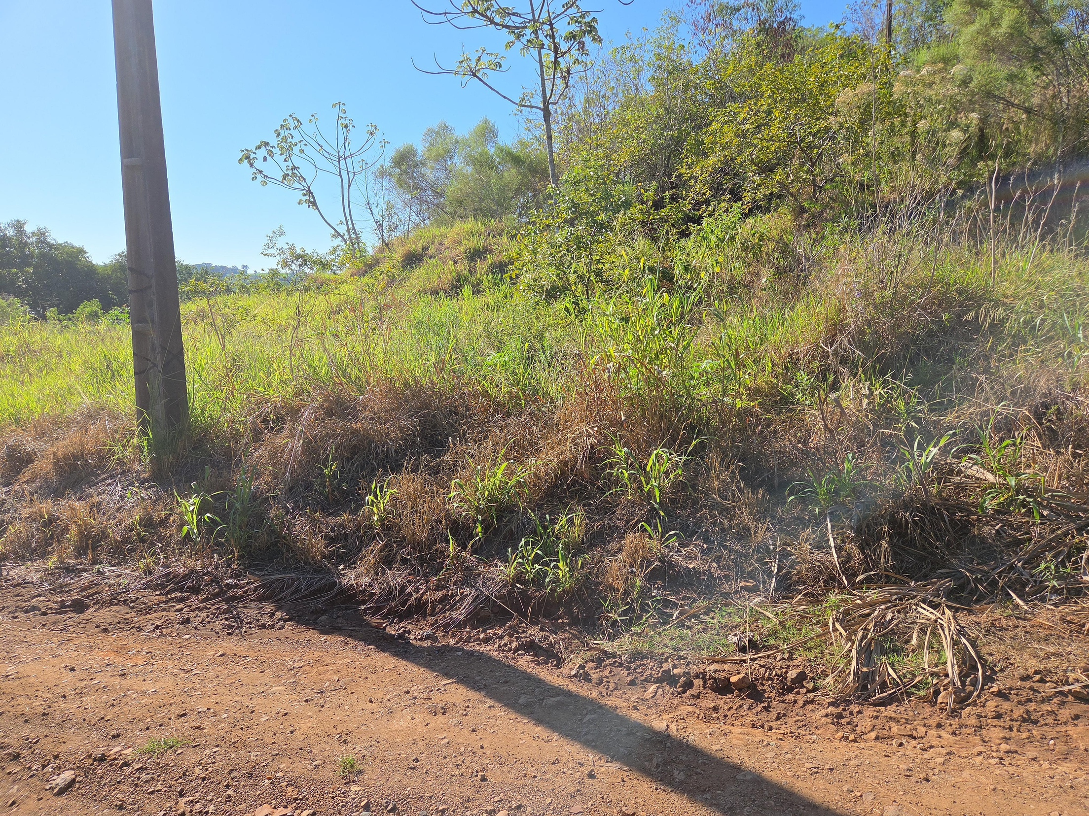 Foto de Imóvel em Nova Prata Do Iguaçu (PR)