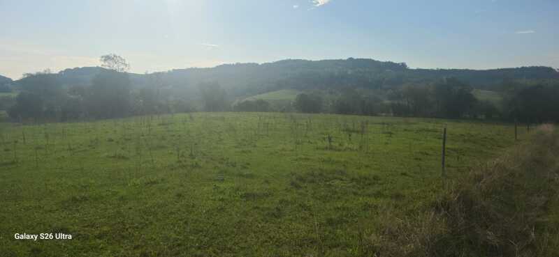 Foto de Uma extensão de terras rurais, com área de 42.500m², sem benfeitorias, parte do lote rural nº 18, da Linha Baixa, sito neste município de Porto Xavier