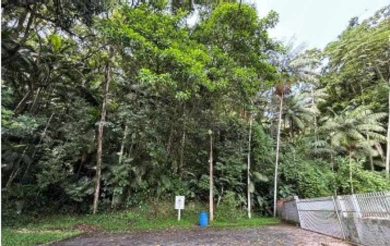 Foto de Terreno em leilão no bairro Velha em Blumenau - SC