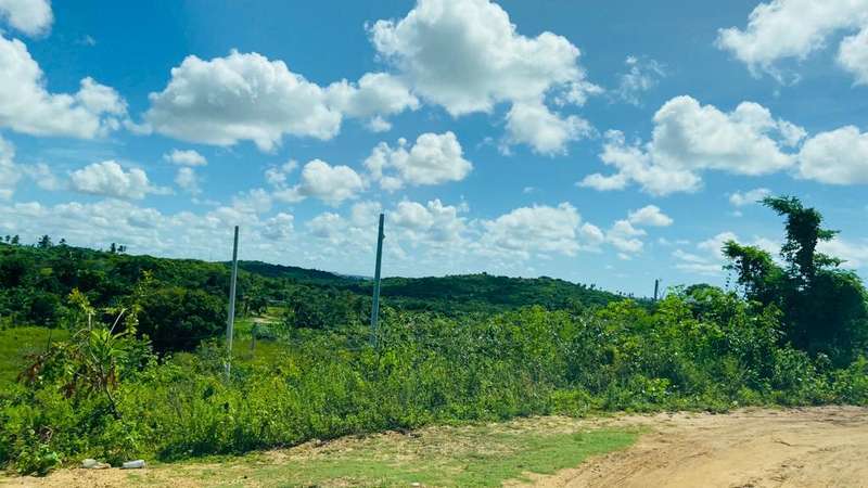 Foto de Area Rural em leilão em São Cristóvão - SE