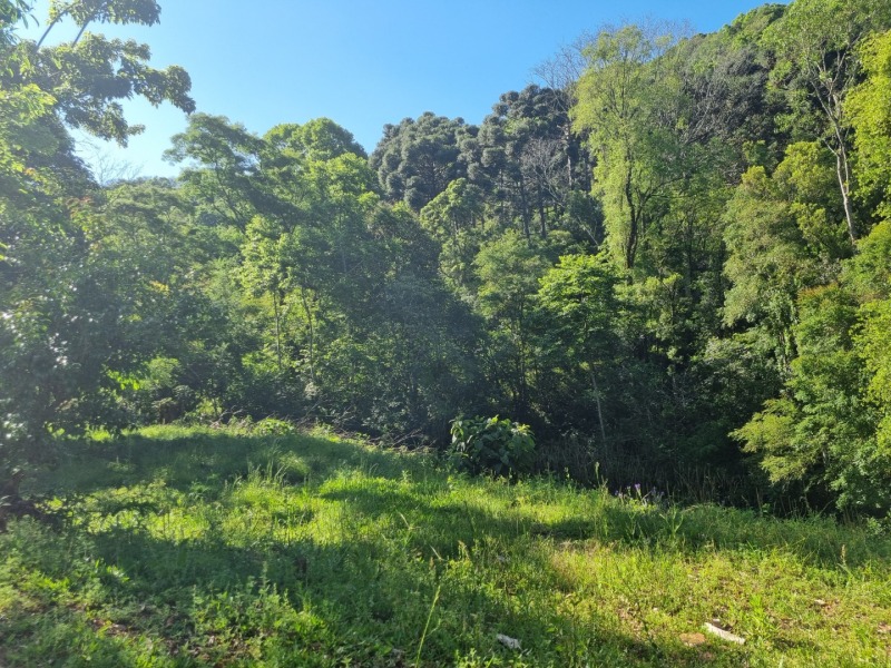 Foto de Terreno em leilão em Floriano Peixoto - RS