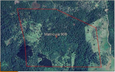 Foto de Terreno rural com área de 72,12ha, sem benfeitorias, localizado no município e Inácio Martins/PR