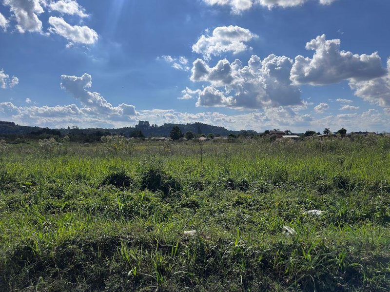 Foto de Imóvel em Três Barras (SC)