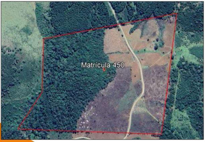 Foto de Terreno com área de 13,91ha, sem benfeitorias, localizado no município e Inácio Martins/PR