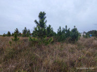 Foto de Terreno em leilão em Torres - RS