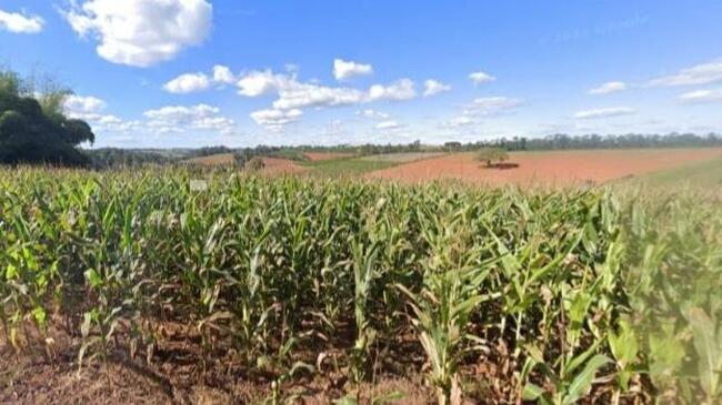Foto de IMÓVEL RURAL | 29,66 HECTARES | FAZENDA CAMPO REDONDO - CARMO DE MINAS/MG