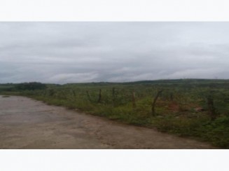 Foto de Terreno A.T. 3 ha - Palmares/PE