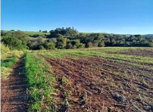 Foto de Area Rural em leilão em São Paulo Das Missões - RS