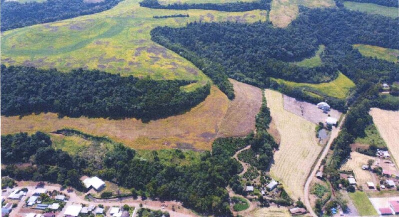 Foto de Area Rural em leilão em Carlos Gomes - RS