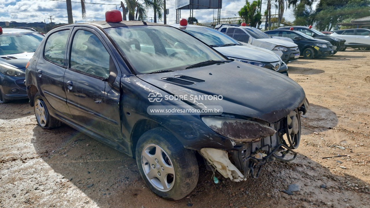 Foto de peugeot - 206 sensat