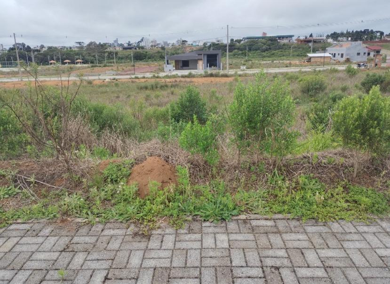 Foto de Imóvel em Curitibanos (SC)