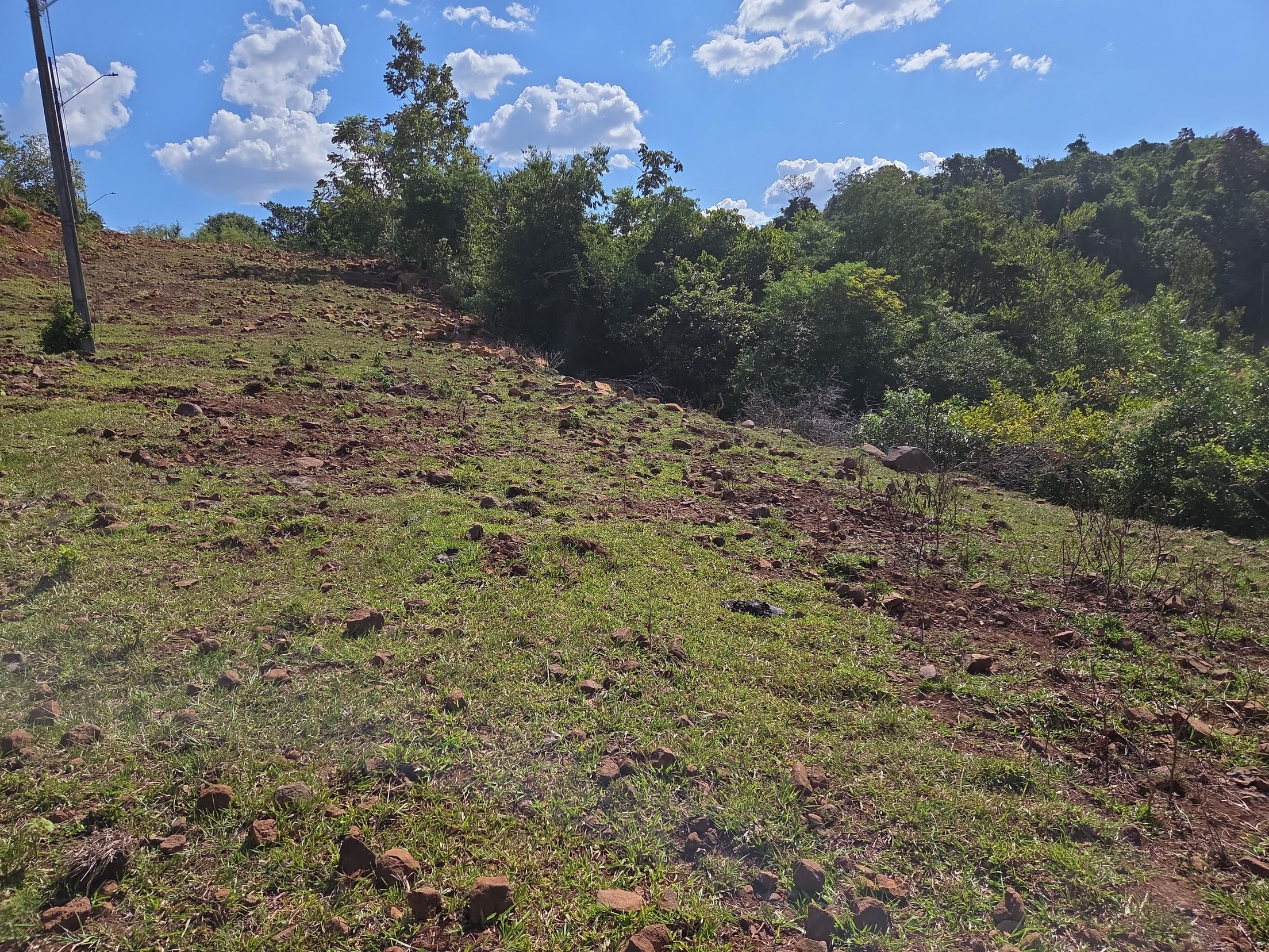 Foto de Imóvel em Nova Prata Do Iguaçu (PR)
