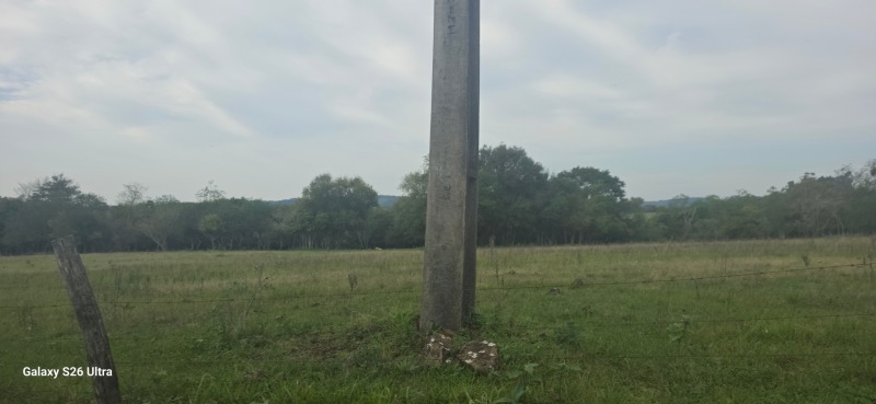 Foto de O Lote Rural nº 16, da Secção Dourados, com área de 38.500m², sem benfeitorias, sito neste município de Porto Xavier