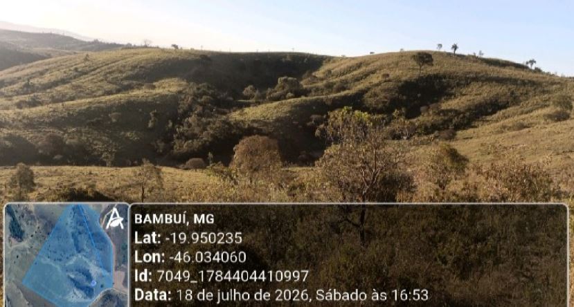 Foto de Area Rural em leilão no bairro Vila Olímpia em São Paulo - SP