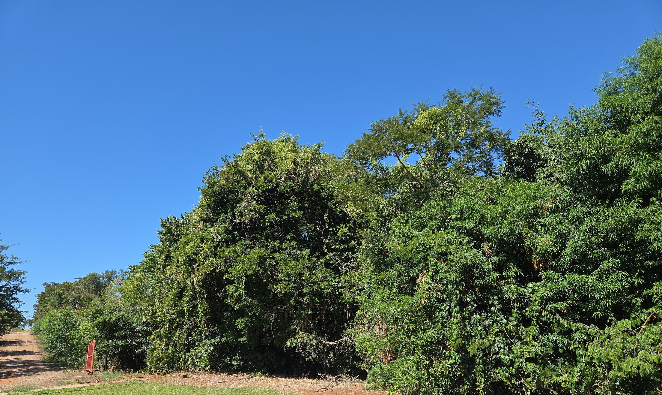 Foto de Imóvel em Nova Prata Do Iguaçu (PR)