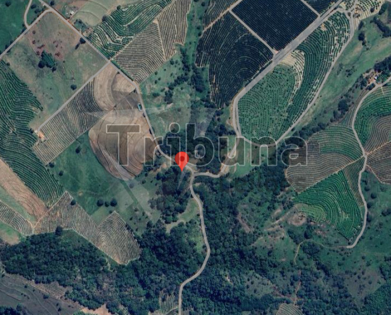 Foto de Area Rural em leilão em Monte Alto - SP