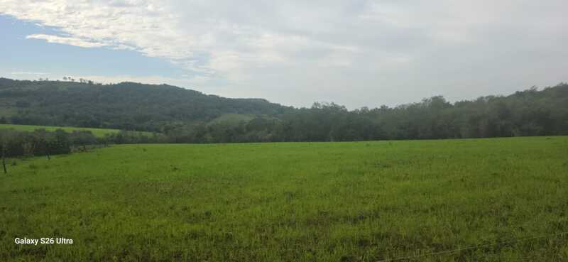 Foto de Uma extensão de terras rurais, com área de 137.500m², sem benfeitorias, parte do lote rural nº 19, da Linha Baixa, sito neste município de Porto Xavier